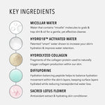 HydroPeptide HydroActive Cleanse