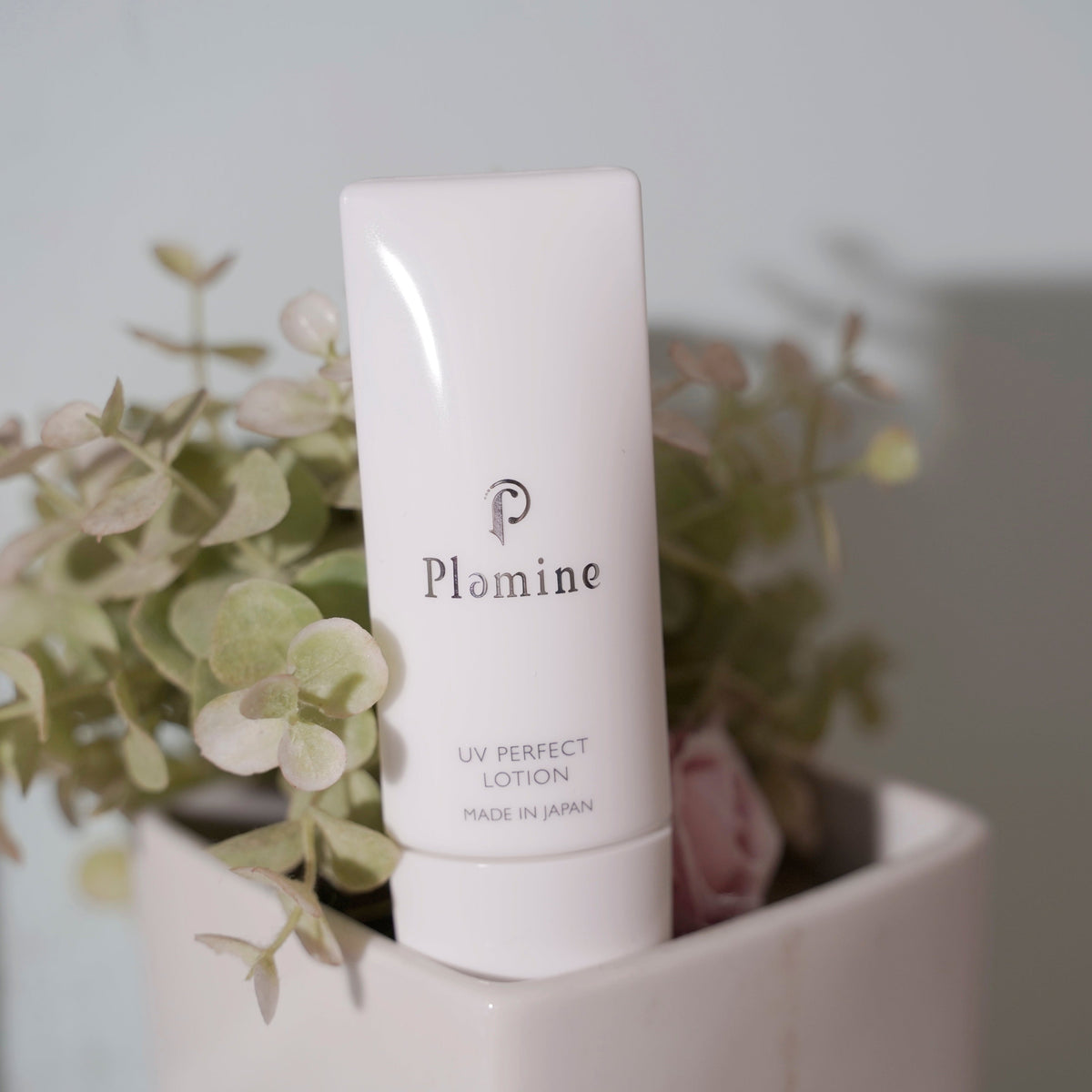Plamine UV Perfect Lotion in Anwendung