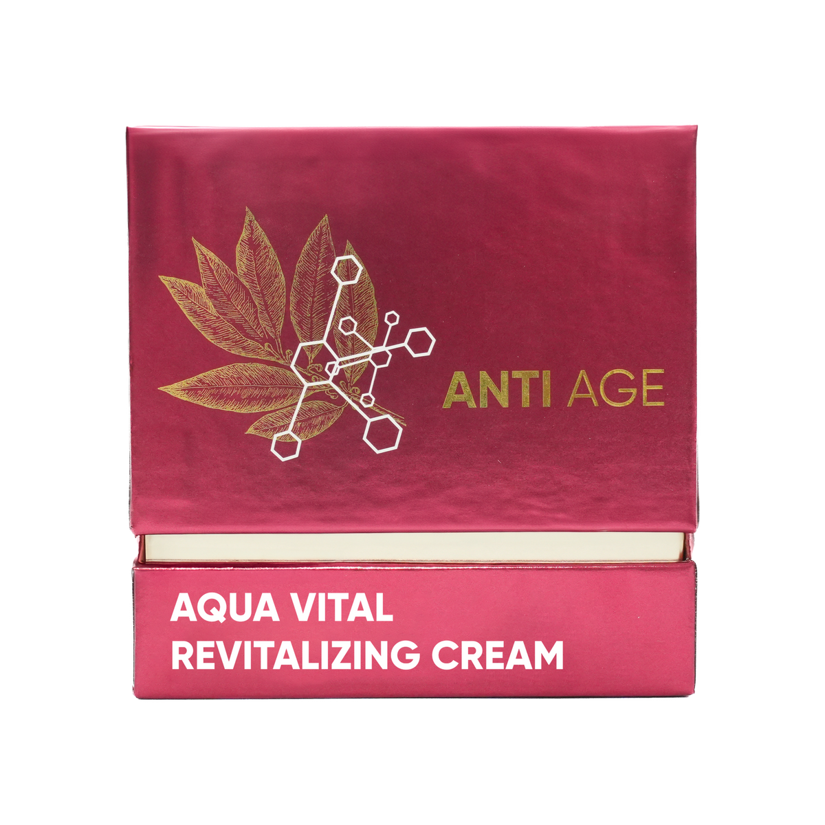 Renew Anti Age Aqua Vital Revitalizing Cream