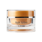 Renew Golden Age Night Active Cream
